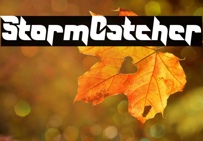 Storm Catcher Example 2