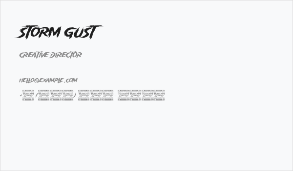 Storm Gust Business Card