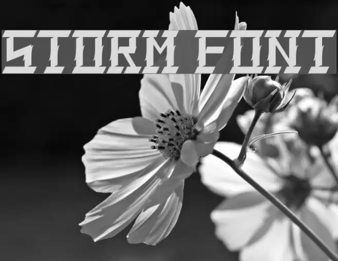 Storm Font examples