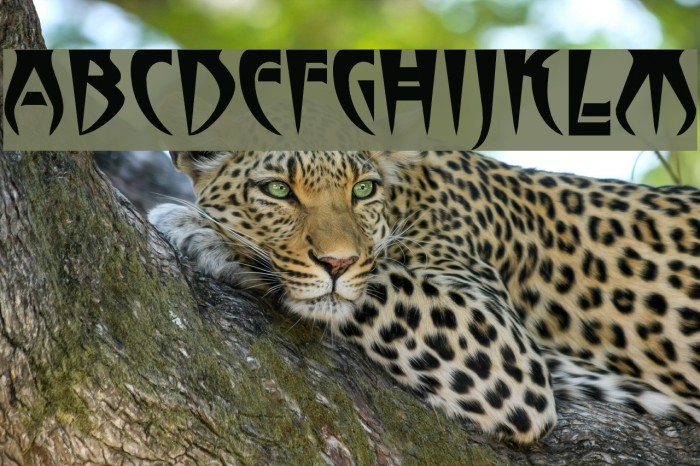 Stormbringer Font examples