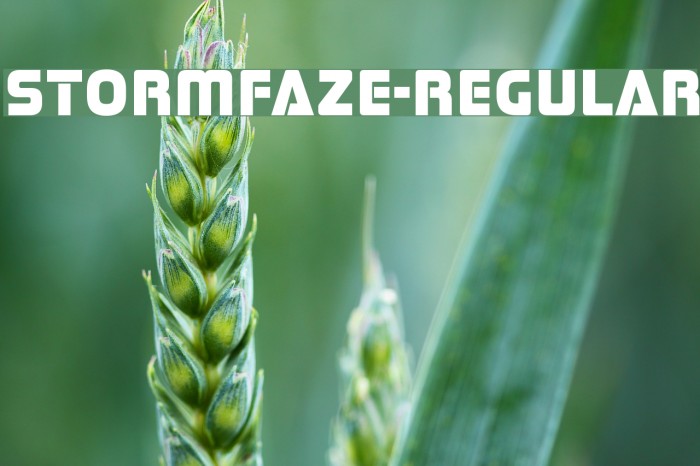 Stormfaze-Regular Font examples