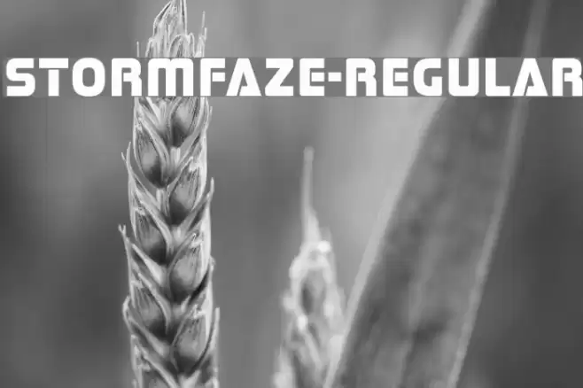 Stormfaze-Regular Font examples