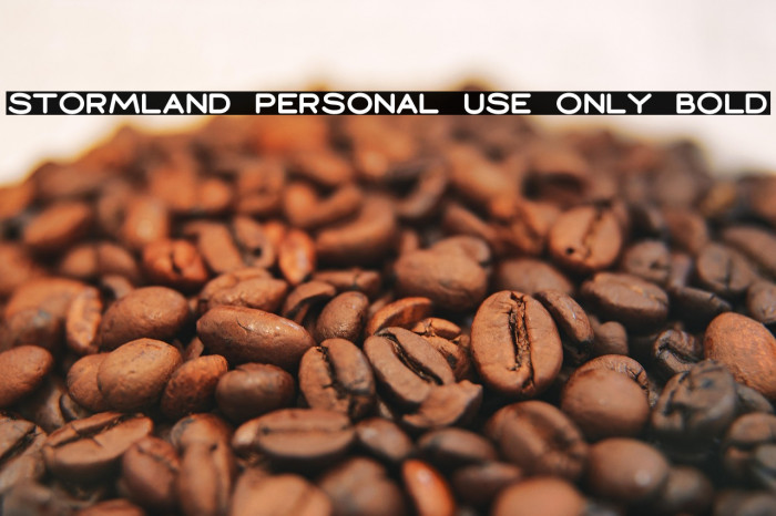 Stormland PERSONAL USE ONLY Bold Example 1