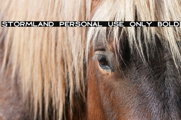 Stormland PERSONAL USE ONLY Bold Example 2