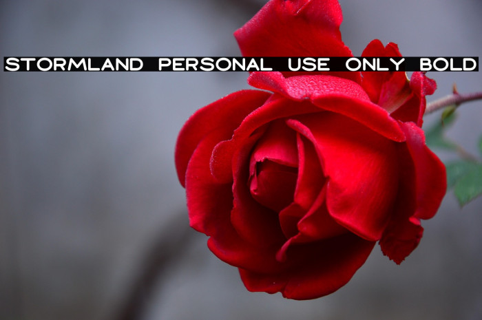 Stormland PERSONAL USE ONLY Bold Example 3