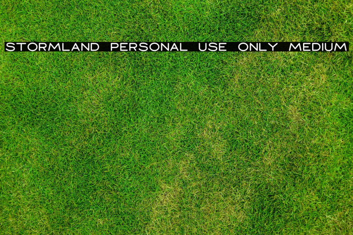 Stormland PERSONAL USE ONLY Medium Example 1