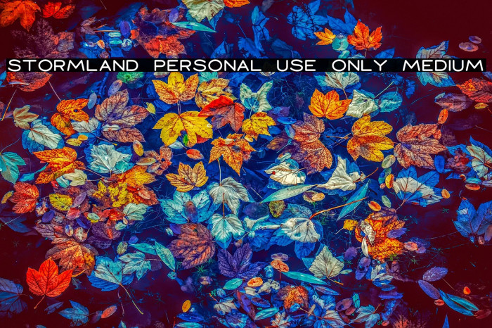 Stormland PERSONAL USE ONLY Medium Example 2