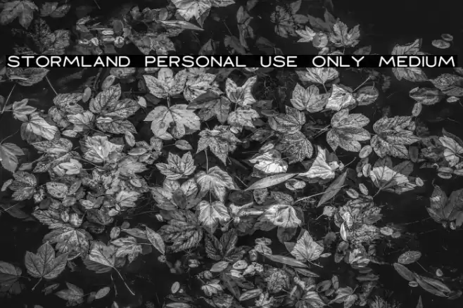 Stormland PERSONAL USE ONLY Medium Font examples