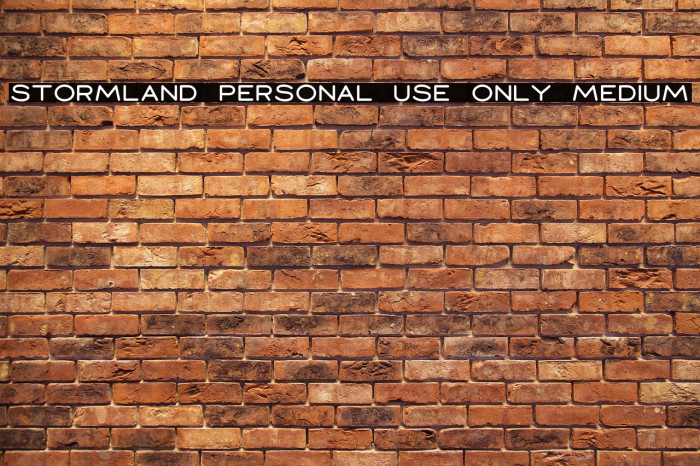 Stormland PERSONAL USE ONLY Medium Example 3