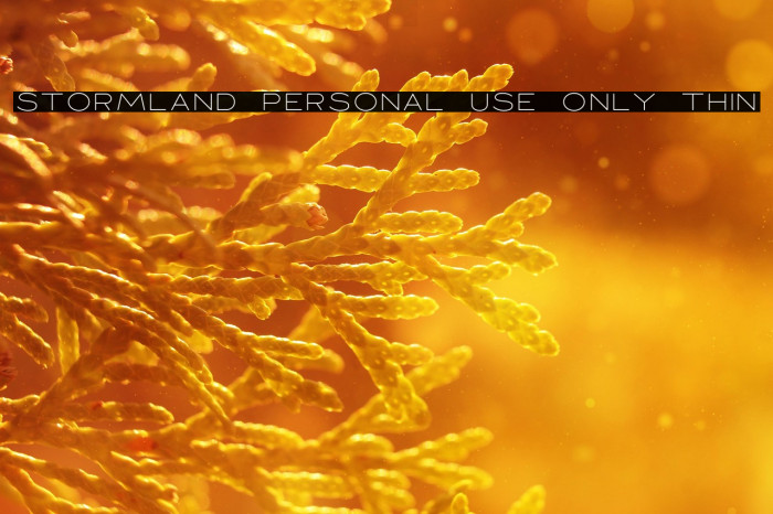 Stormland PERSONAL USE ONLY Thin Example 3