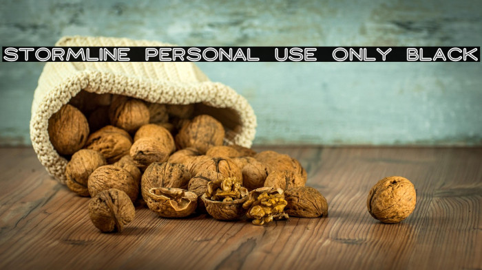 Stormline PERSONAL USE ONLY Black Example 2