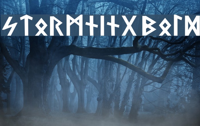 Stormning Bold Font examples