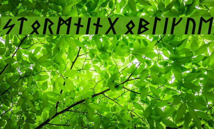 Stormning Oblique Example 1