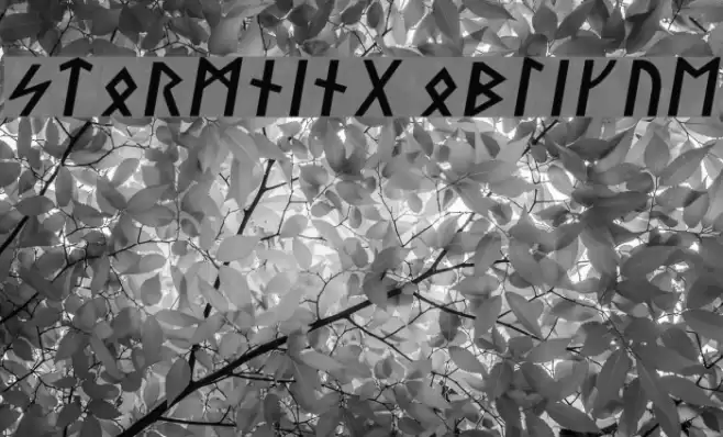 Stormning Oblique Font examples