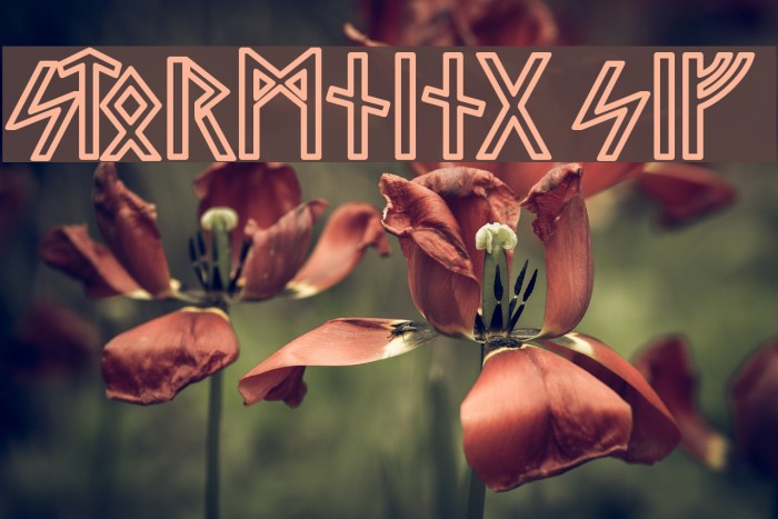 Stormning Sif  Example 3