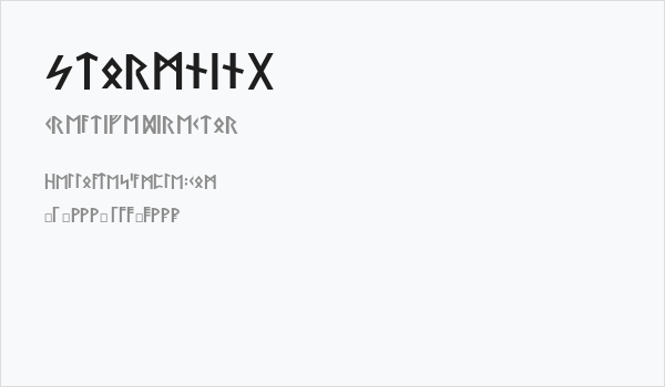 Stormning Business Card