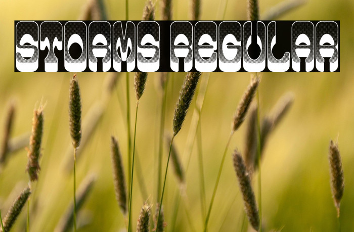 Storms Regular Example 1