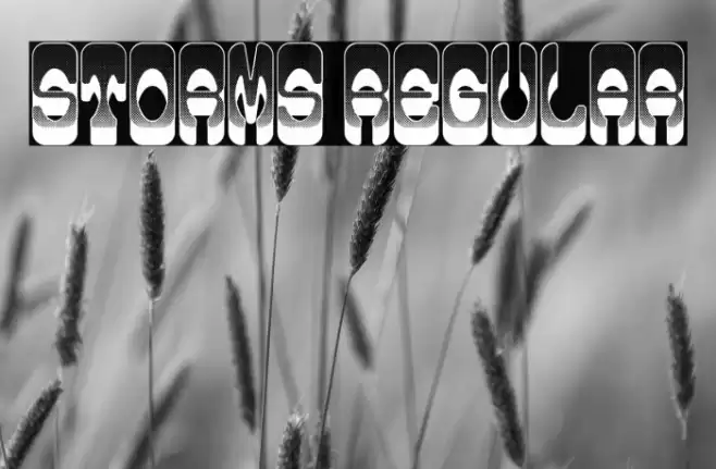Storms Regular Font examples