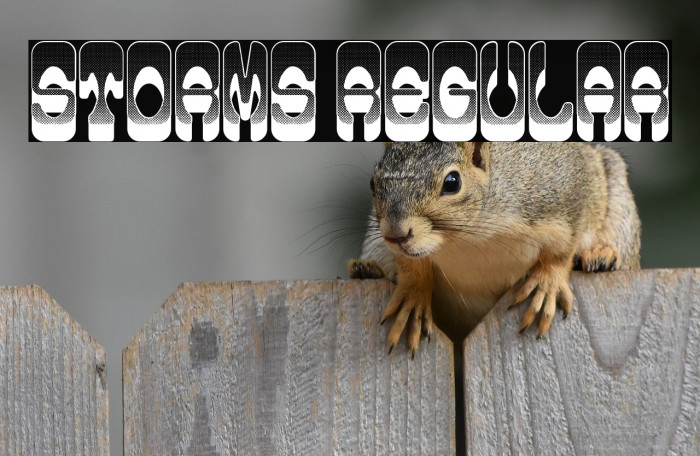 Storms Regular Example 2