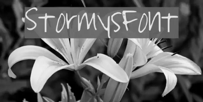 StormysFont Font examples
