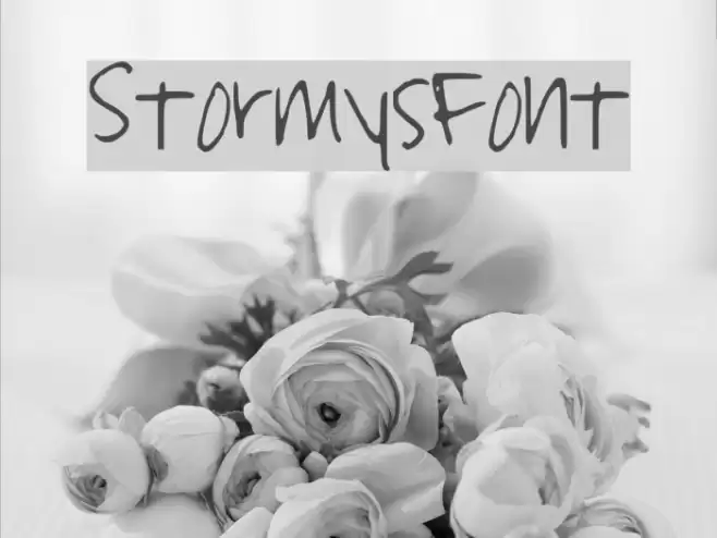 StormysFont Font examples