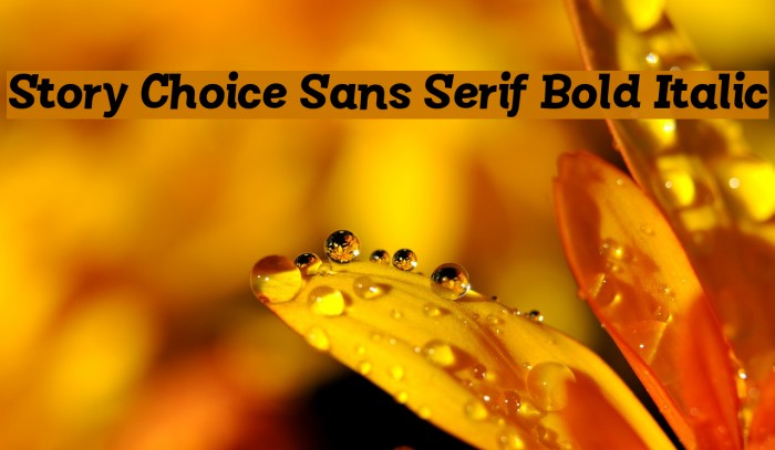 Story Choice Sans Serif Bold Italic Font examples