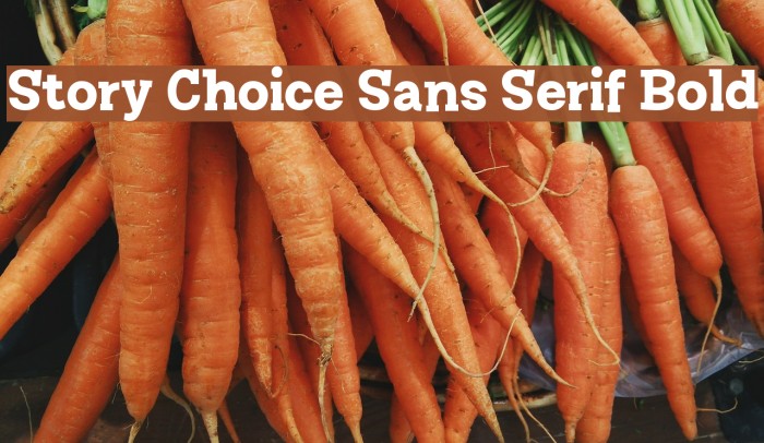 Story Choice Sans Serif Bold Font examples
