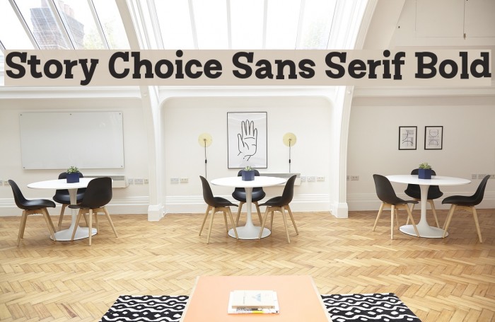 Story Choice Sans Serif Bold Font examples