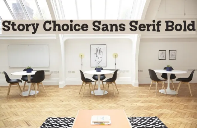 Story Choice Sans Serif Bold Example 2
