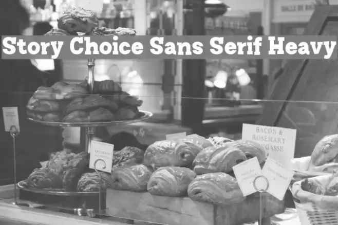Story Choice Sans Serif Heavy Font examples