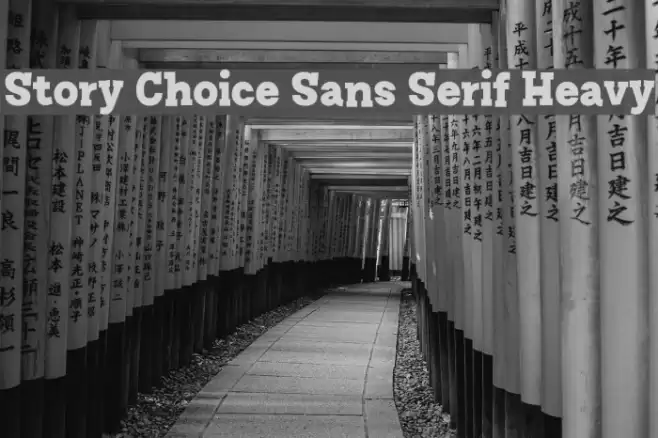Story Choice Sans Serif Heavy Font examples