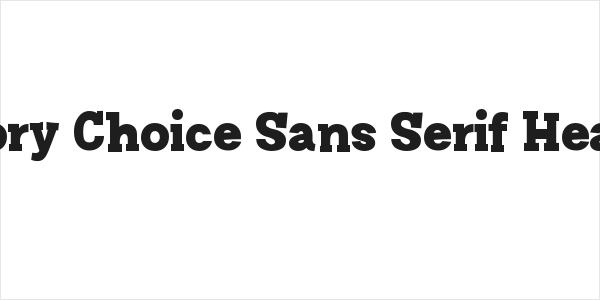 Story Choice Sans Serif Heavy Logo