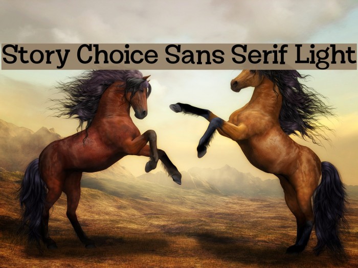 Story Choice Sans Serif Light Font examples