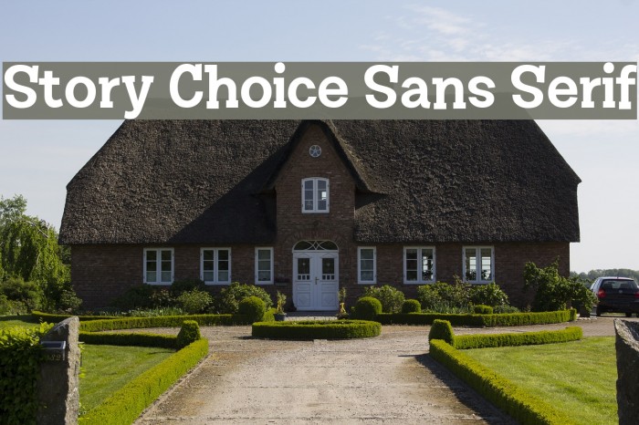 Story Choice Sans Serif Font examples