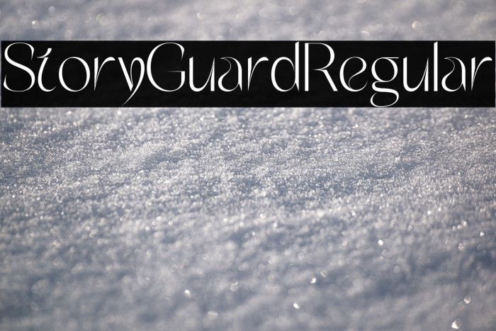 Story Guard Regular Example 1