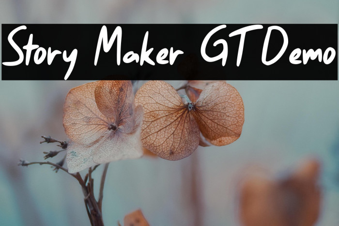 Story Maker GT Demo Example 2