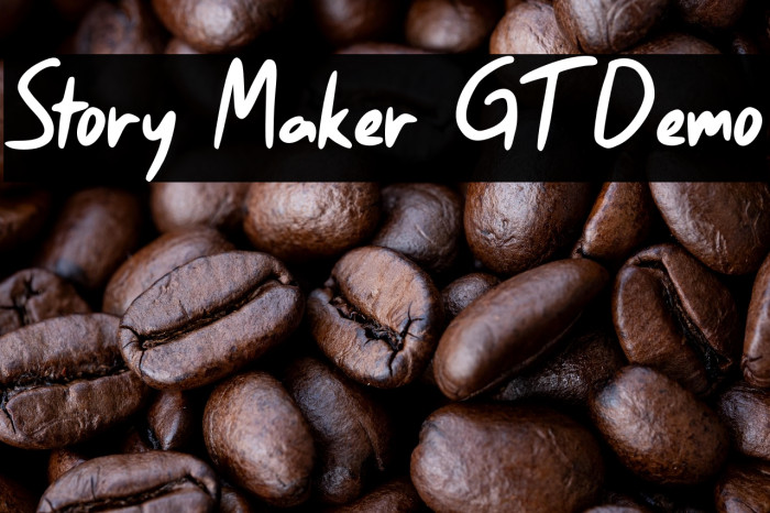 Story Maker GT Demo Example 3