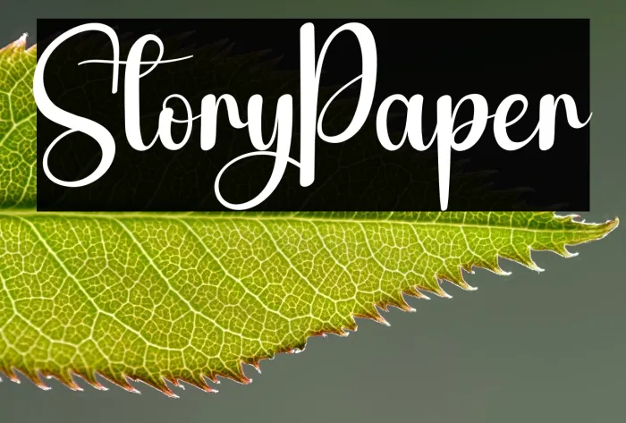 Story Paper Example 3