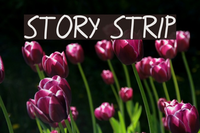 Story Strip Font examples