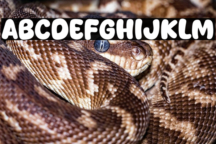 Story of Bela Example 2