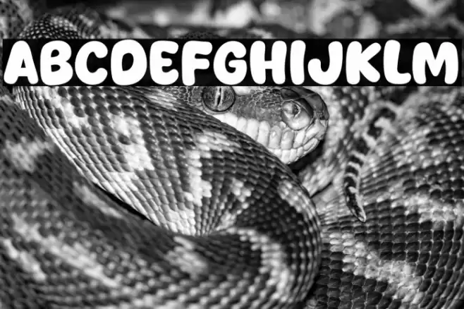 Story of Bela Font examples