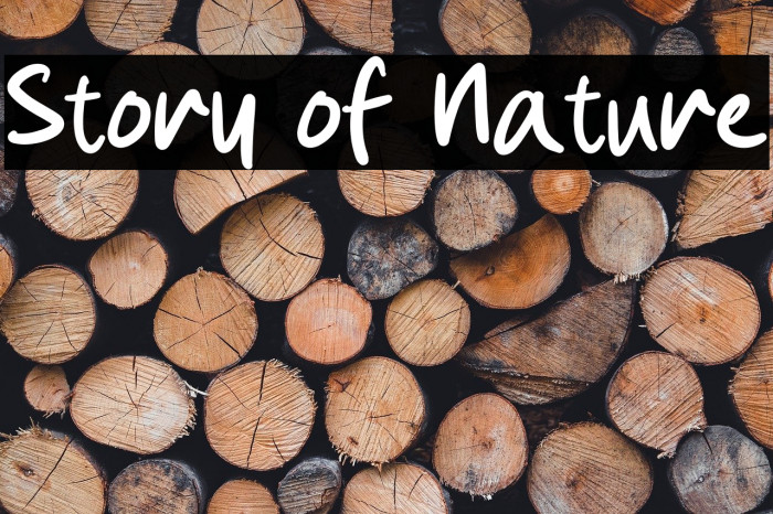 Story of Nature Example 1
