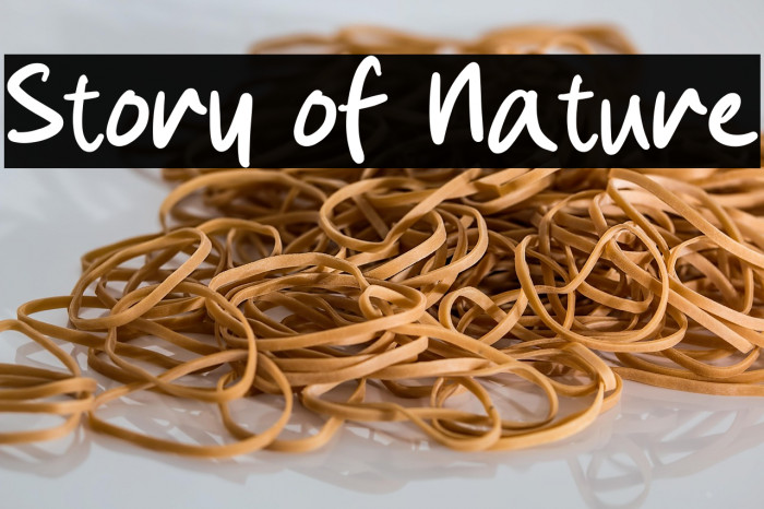 Story of Nature Example 2