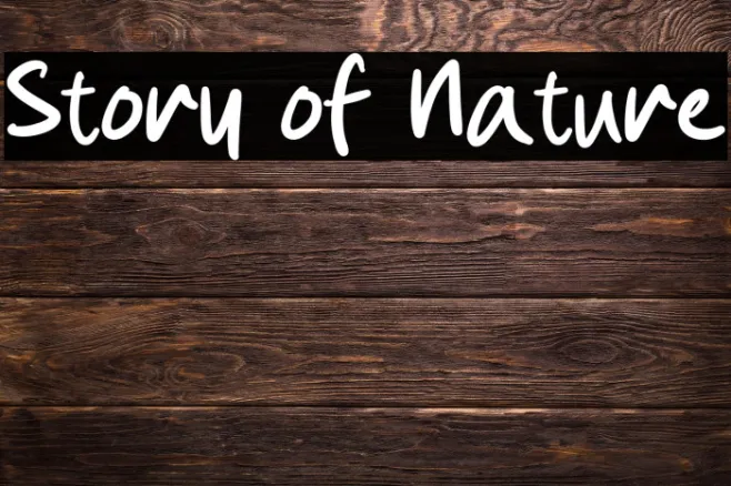 Story of Nature Example 3