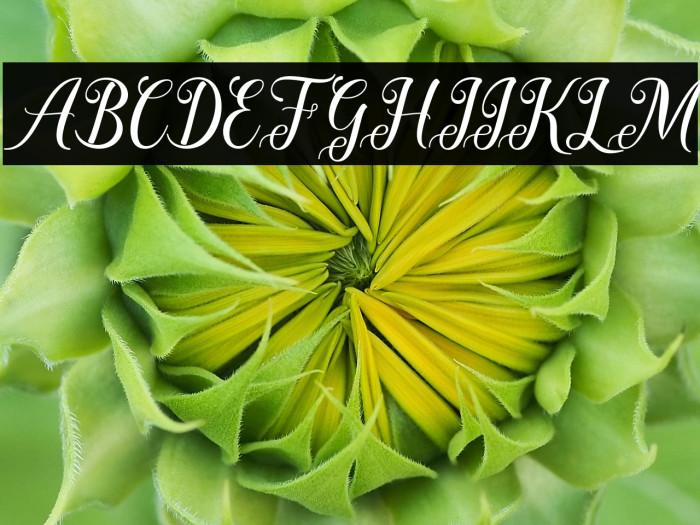 StoryHeart Example 3