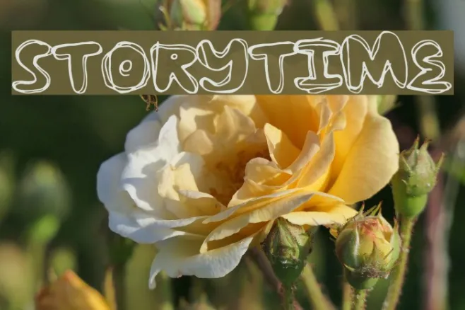StoryTime Example 3