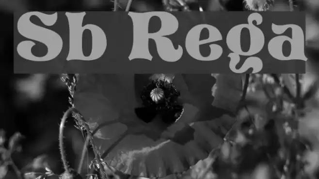 Storybook Regular Font examples