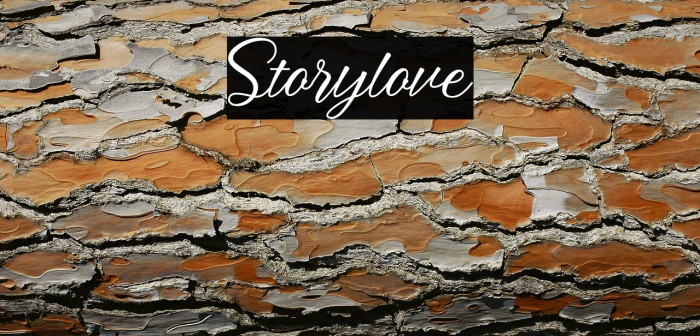Storylove Example 3