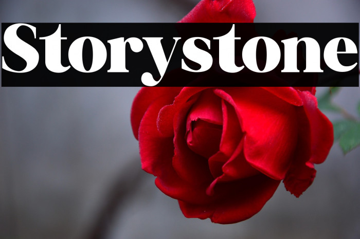 Storystone Example 1