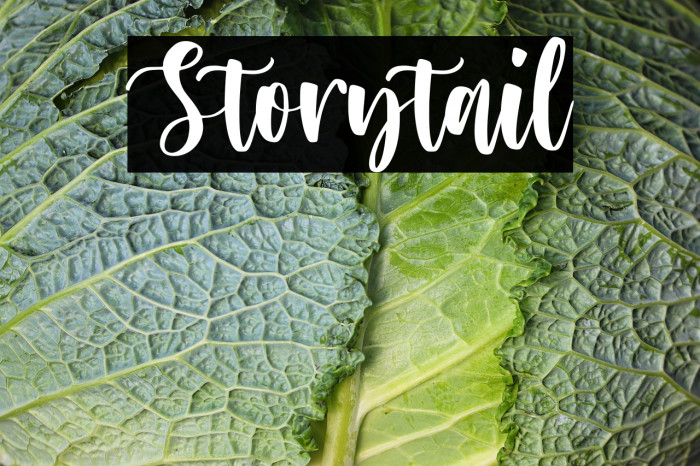 Storytail Example 3